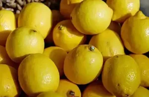 Liqueur de citron