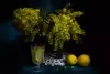 Nature morte Mimosa Citrons